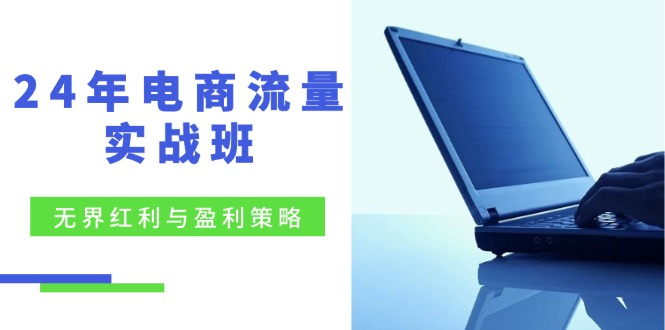 24年电商流量实战班：无界 红利与盈利策略，终极提升/关键词优化/精准…-紫爵资源库