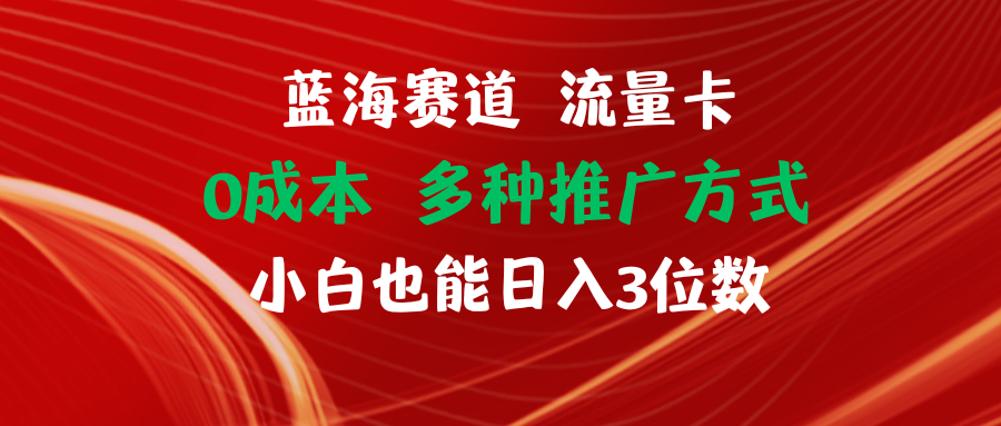 蓝海赛道 流量卡 0成本 小白也能日入三位数-紫爵资源库