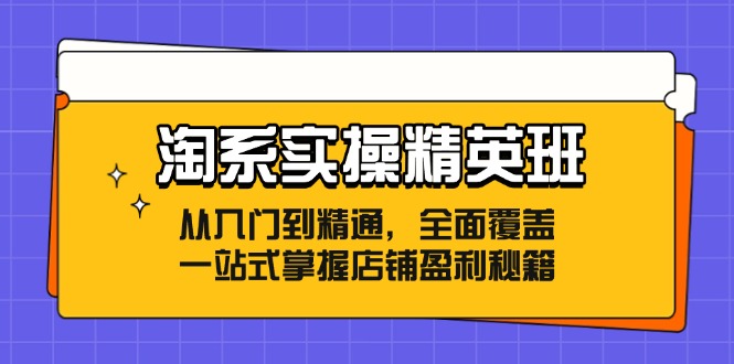 淘系实操精英班：从入门到精通，全面覆盖，一站式掌握店铺盈利秘籍-紫爵资源库