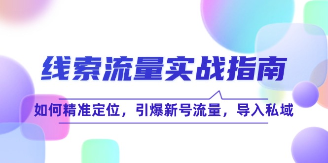 线 索 流 量-实战指南：如何精准定位，引爆新号流量，导入私域-紫爵资源库