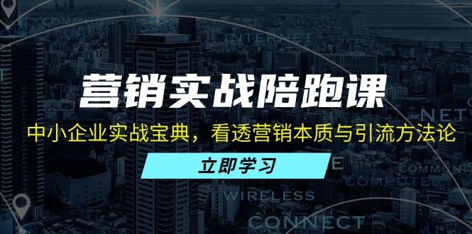 营销实战陪跑课：中小企业实战宝典，看透营销本质与引流方法论-紫爵资源库