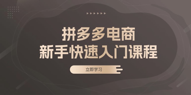 拼多多电商新手快速入门课程：涵盖基础、实战与选款，助力小白轻松上手-紫爵资源库