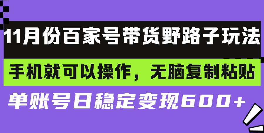 百家号带货野路子玩法 手机就可以操作，无脑复制粘贴 单账号日稳定变现…-紫爵资源库