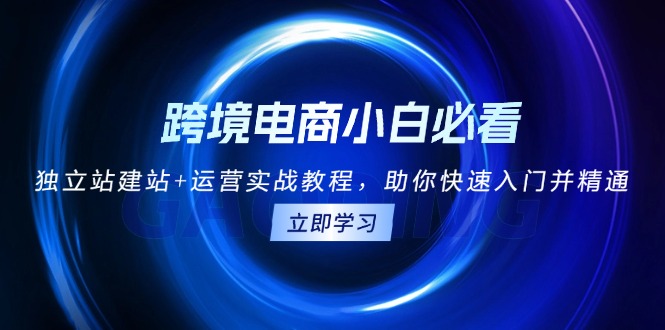 跨境电商小白必看！独立站建站+运营实战教程，助你快速入门并精通-紫爵资源库