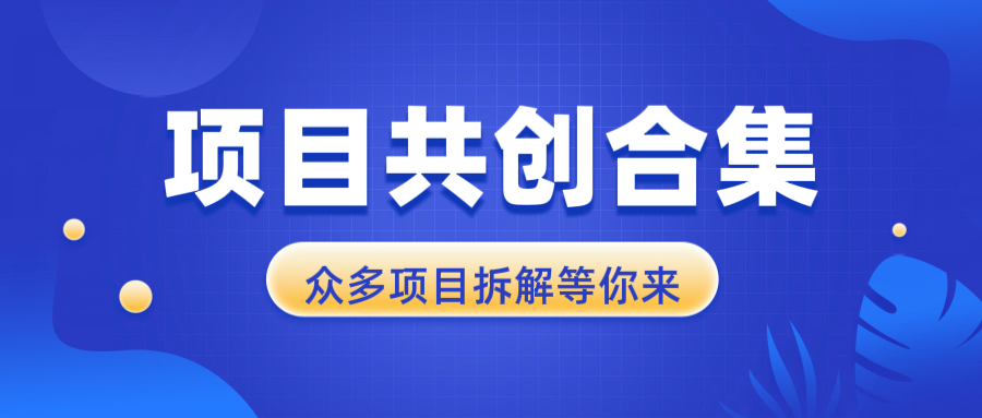 项目共创合集，从0-1全过程拆解，让你迅速找到适合自已的项目-紫爵资源库